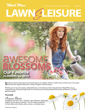 spring-summer-2019, Lawn and Leisure
